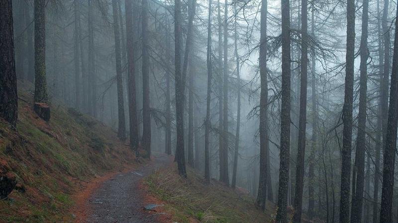 冒险岛游戏攻略图1