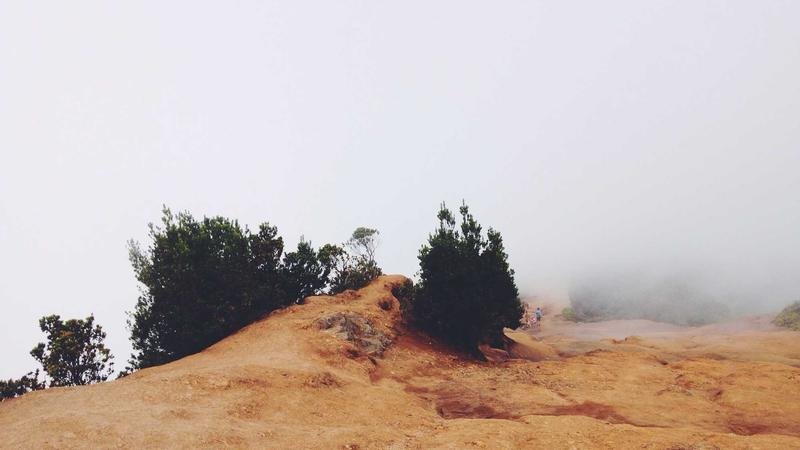 冒险岛翡翠森林攻略：从入门到精通