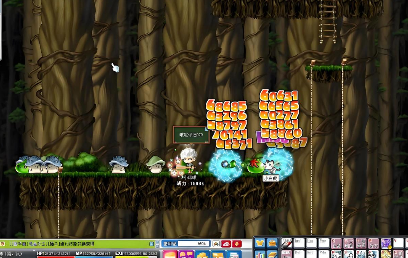 时间密林的囚徒