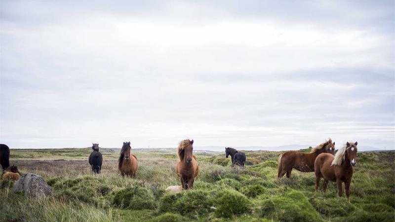 地下都市版本更新解读：新BOSS挑战攻略