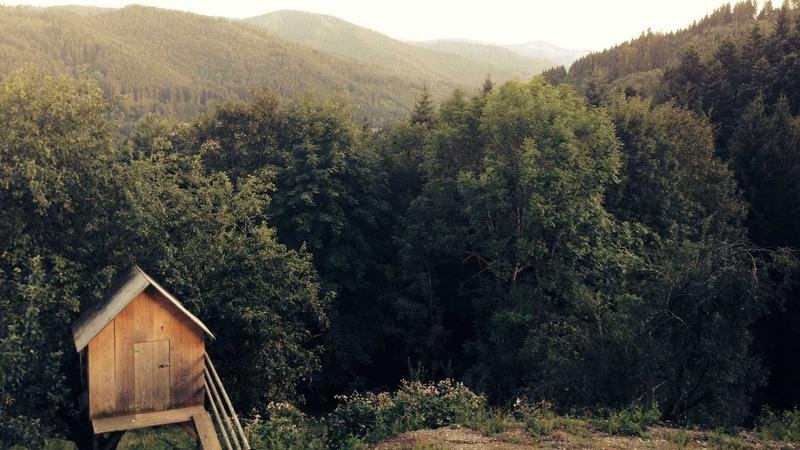 卡琳职业深度解析：技能连招与加点推荐