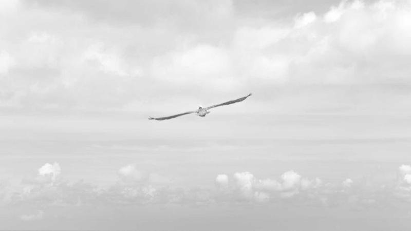 冒险岛九尾狐：平民玩家生存指南