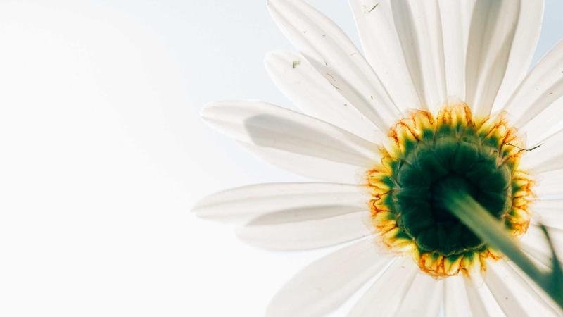 冒险岛混沌之源装备搭配全解析