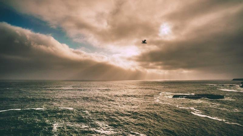 冒险岛召唤师进阶指南：快速提升战力