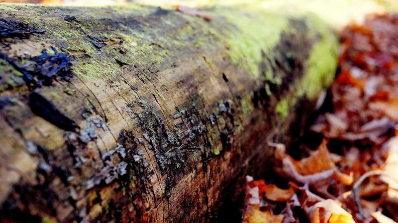 冒险岛游戏攻略图2