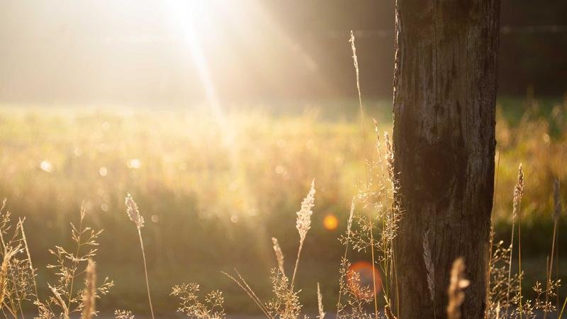 冒险岛风暴之主进阶指南：快速提升战力