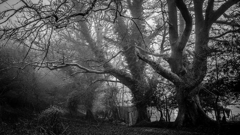 2026年冒险岛天狗最新玩法详解