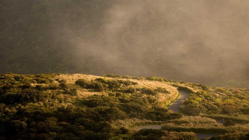 冒险岛召唤师攻略：从入门到精通