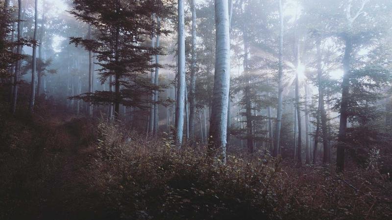 冒险岛半半：平民玩家生存指南