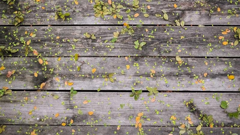 冒险岛水晶洞穴攻略：从入门到精通