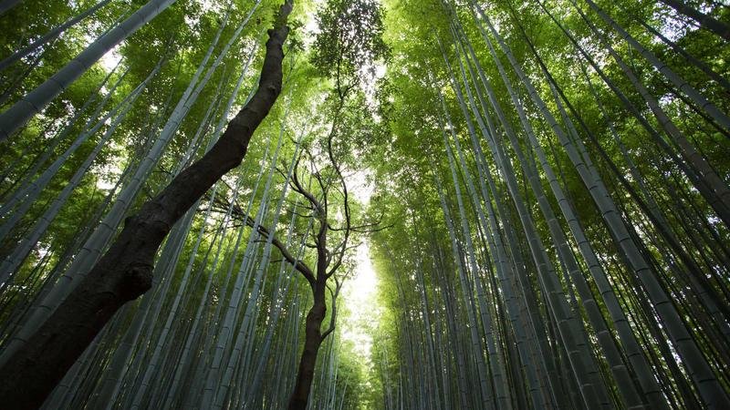 冒险岛游戏攻略图1
