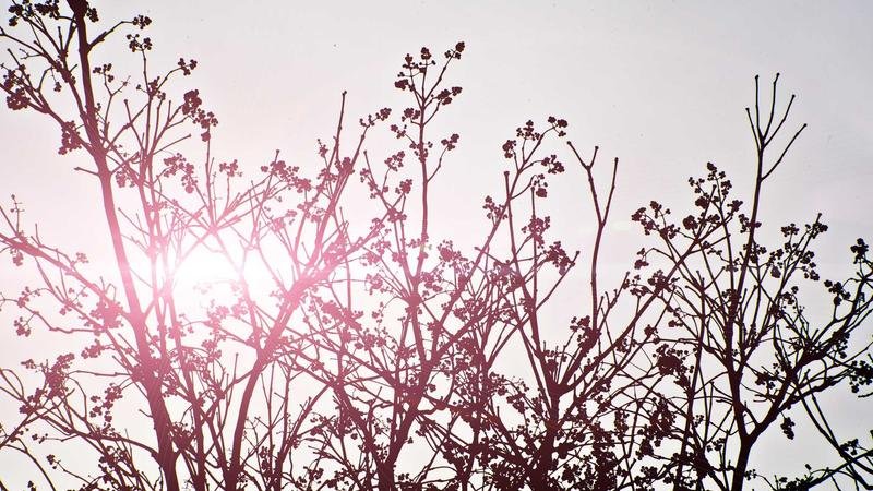 冒险岛地狱君主攻略：从入门到精通