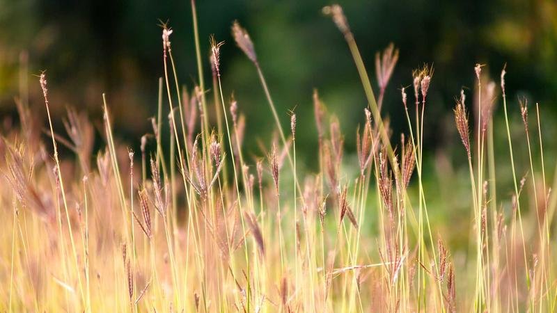 冒险岛拉图斯进阶指南：快速提升战力