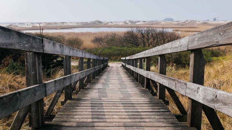 冒险岛游戏攻略图2