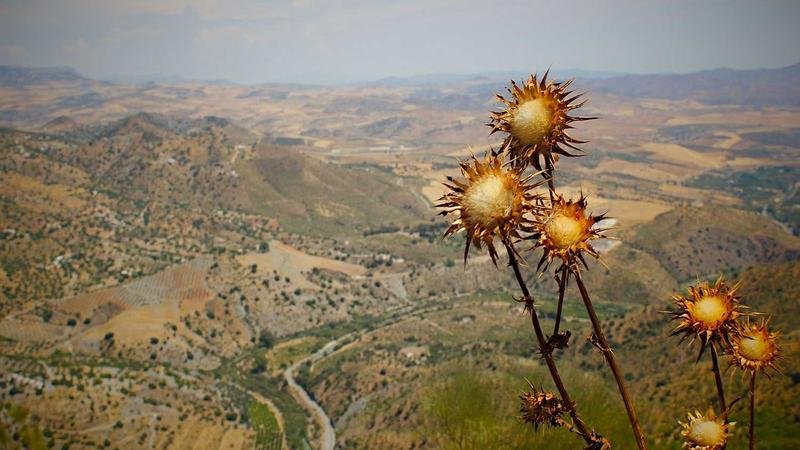 冒险岛夜光法师装备搭配全解析