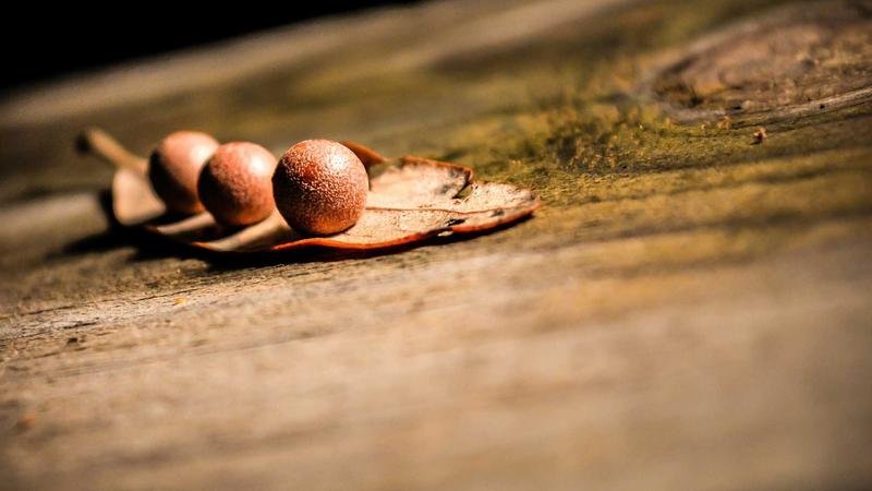 冒险岛蓝宝石海岸装备搭配全解析