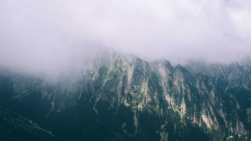 隐士职业深度解析：技能连招与加点推荐