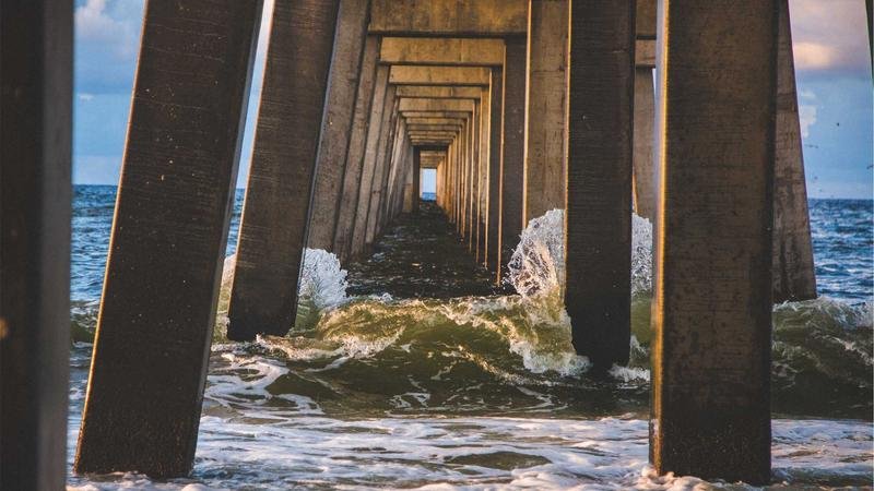 揭秘魔法密林：那些你不知道的隐藏技巧