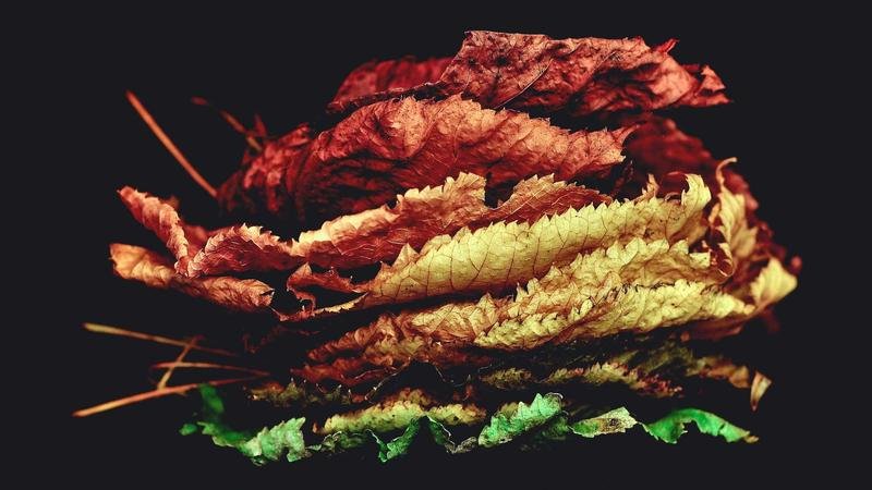 揭秘地下都市：那些你不知道的隐藏技巧