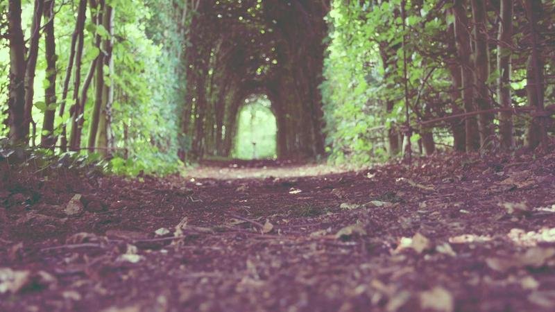 冒险岛元素圣地进阶指南：快速提升战力