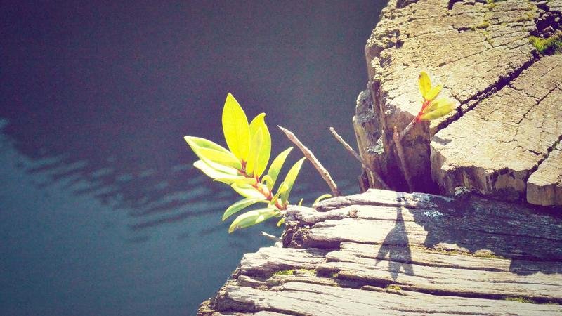 冒险岛游戏攻略图2