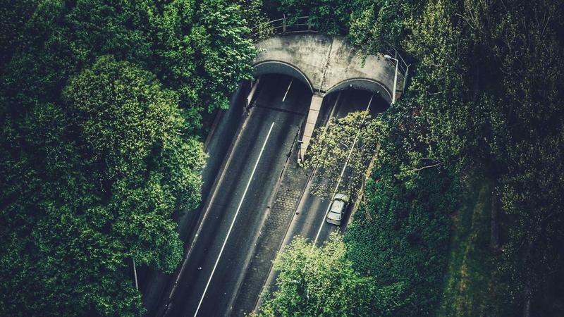 冒险岛幻术大师：平民玩家生存指南